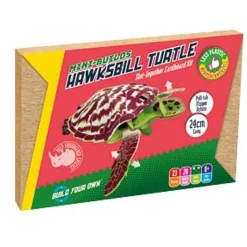 Hawksbill Turtle Mini-Builds