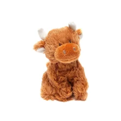 Small Highland Coo