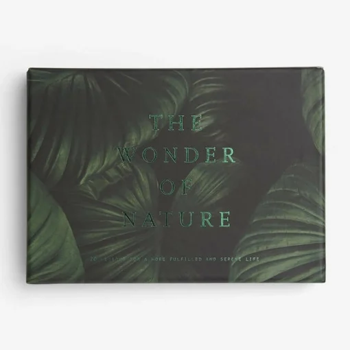 The Wonder Of Nature Cards